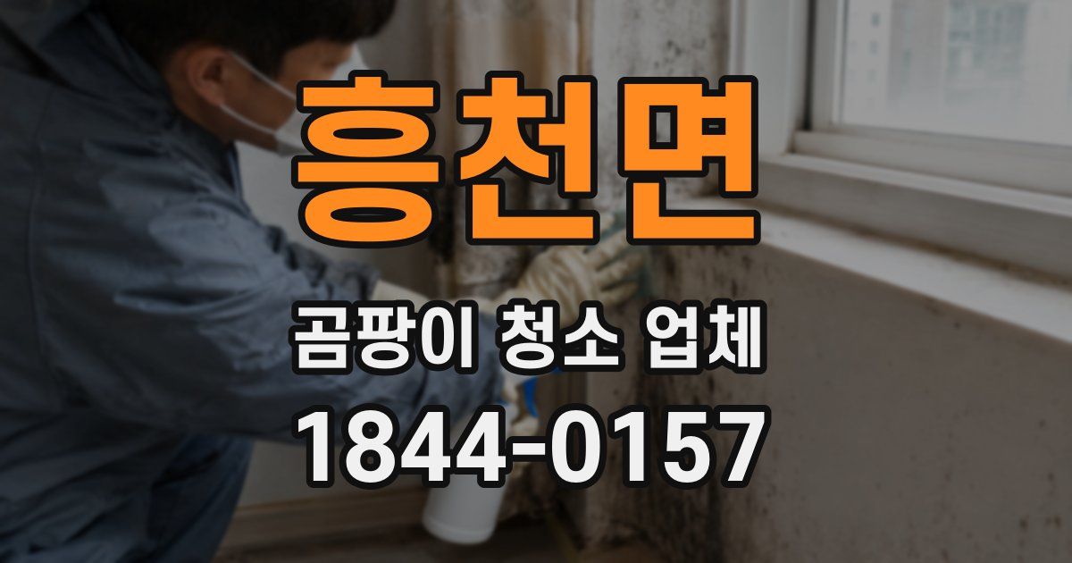 흥천면 곰팡이 청소 업체