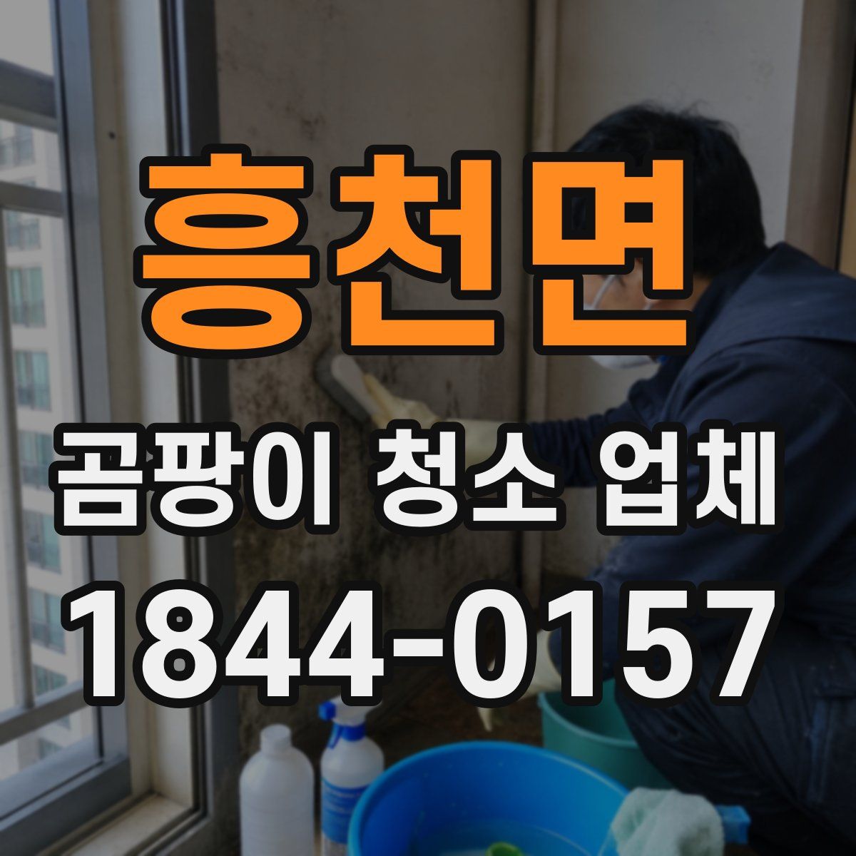흥천면 곰팡이 청소 업체
