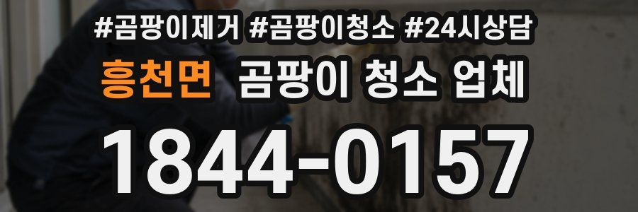 흥천면 곰팡이 청소 업체