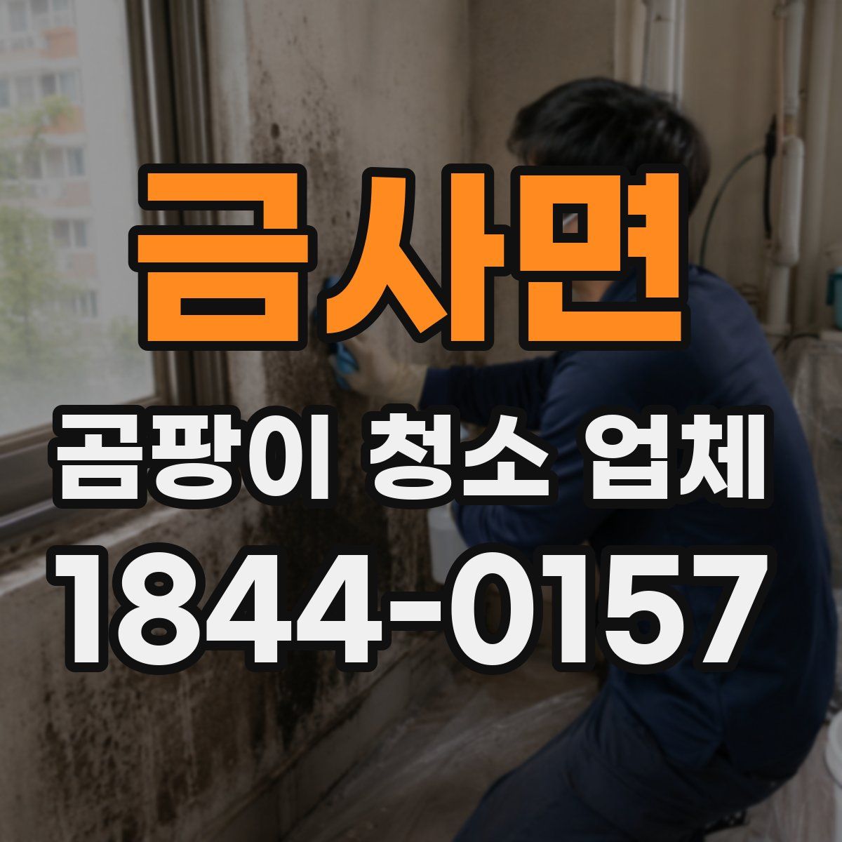 금사면 곰팡이 청소 업체
