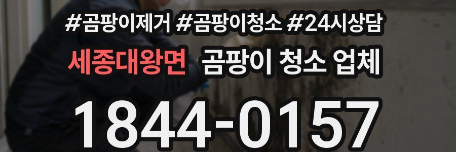 세종대왕면 곰팡이 청소 업체