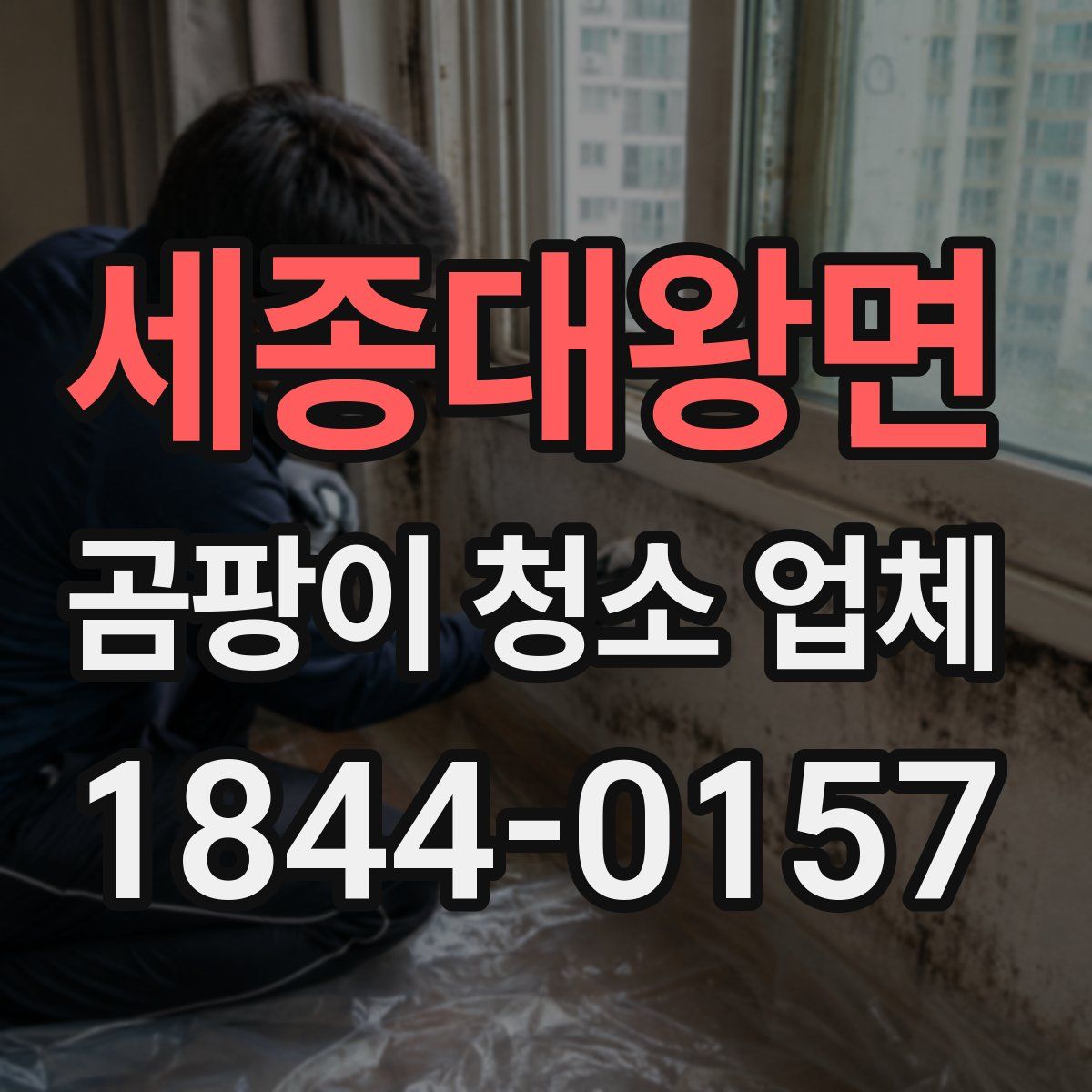 세종대왕면 곰팡이 청소 업체