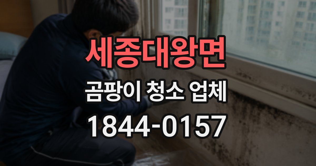 세종대왕면 곰팡이 청소 업체