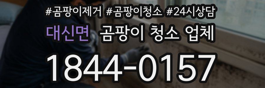대신면 곰팡이 청소 업체