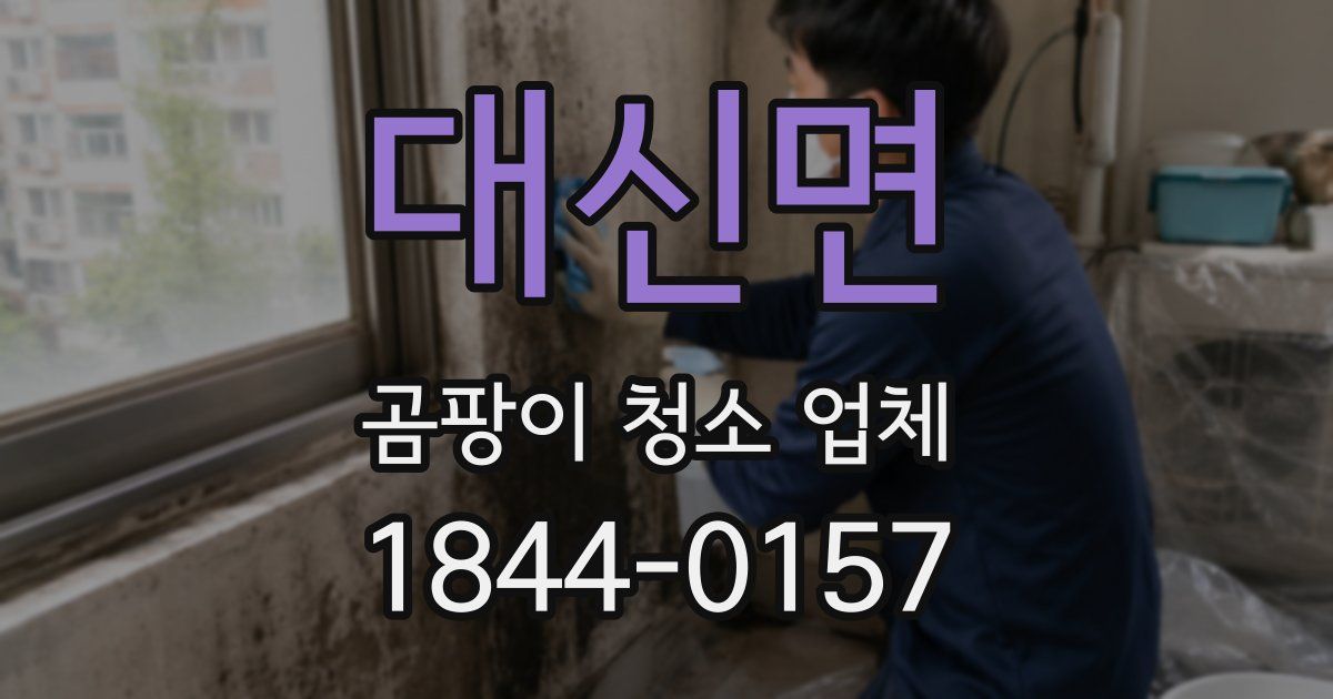 대신면 곰팡이 청소 업체