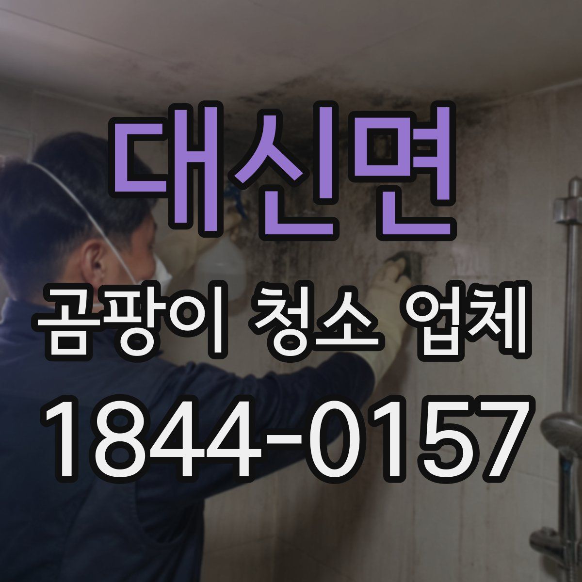 대신면 곰팡이 청소 업체
