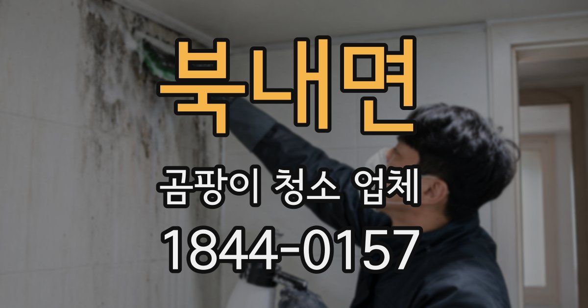 북내면 곰팡이 청소 업체