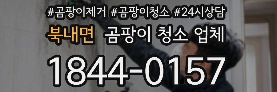 북내면 곰팡이 청소 업체