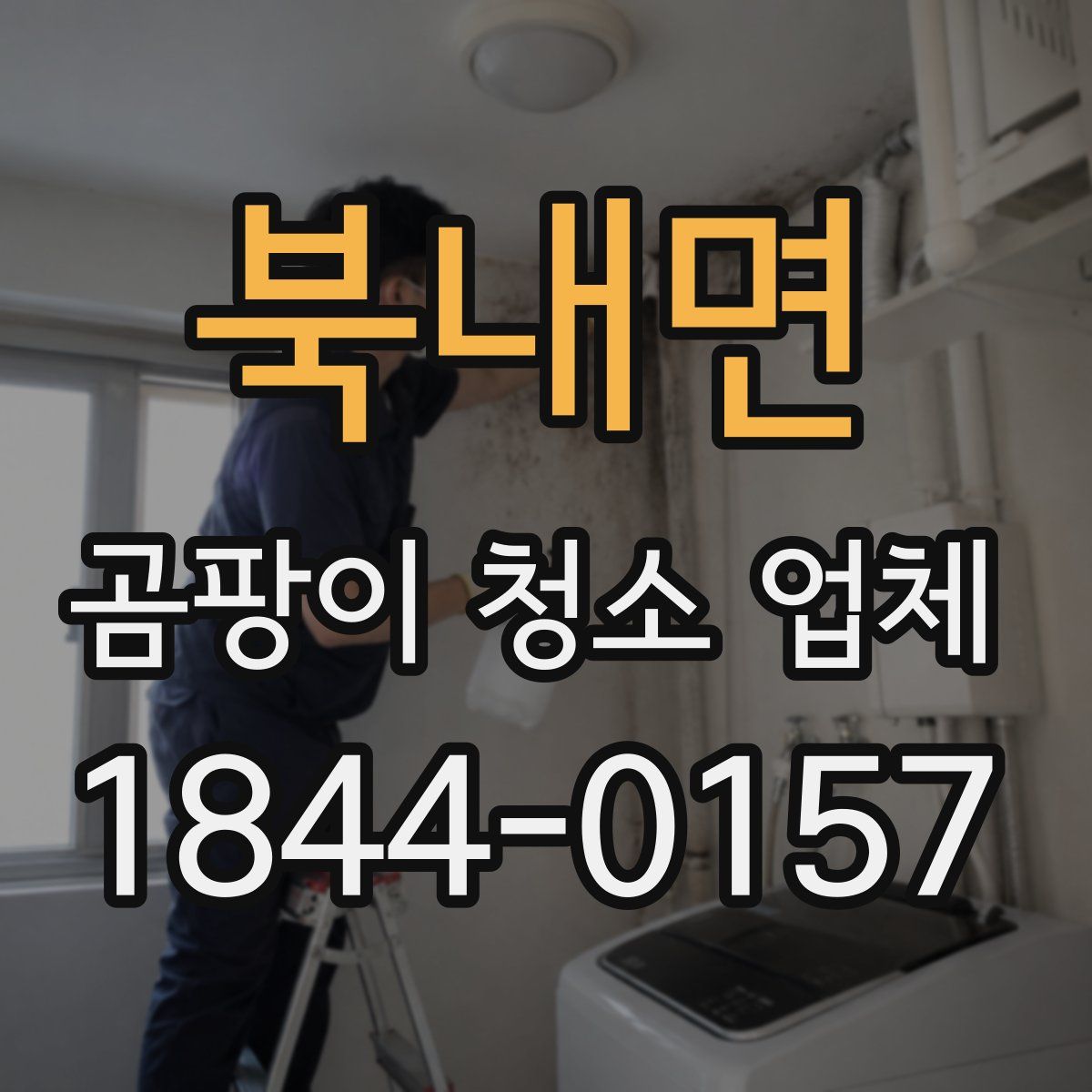 북내면 곰팡이 청소 업체