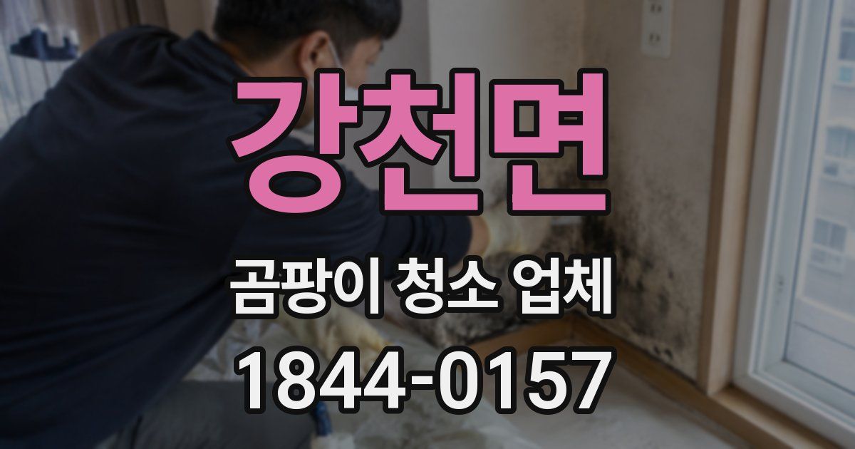 강천면 곰팡이 청소 업체