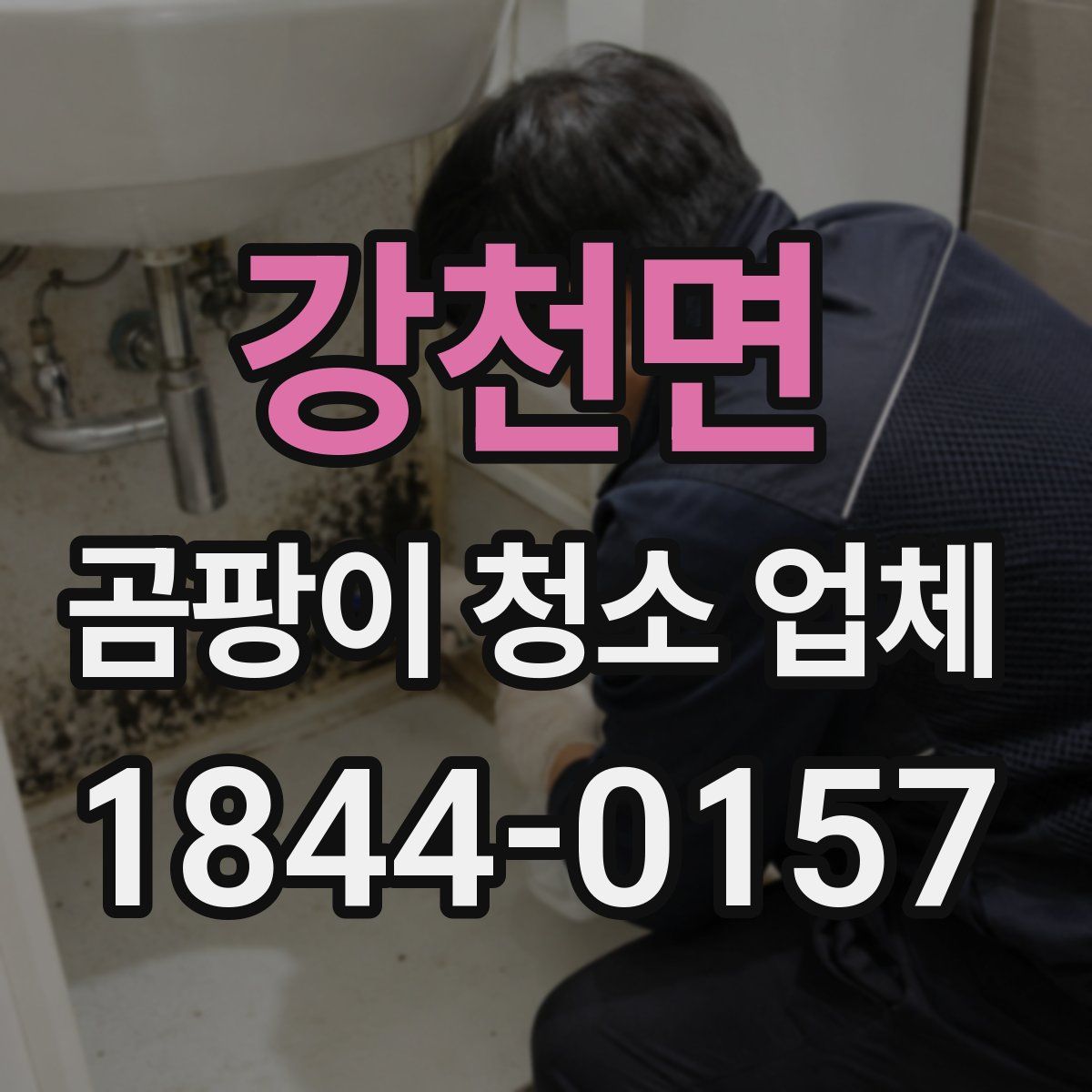 강천면 곰팡이 청소 업체