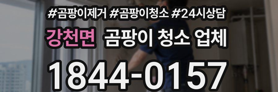 강천면 곰팡이 청소 업체