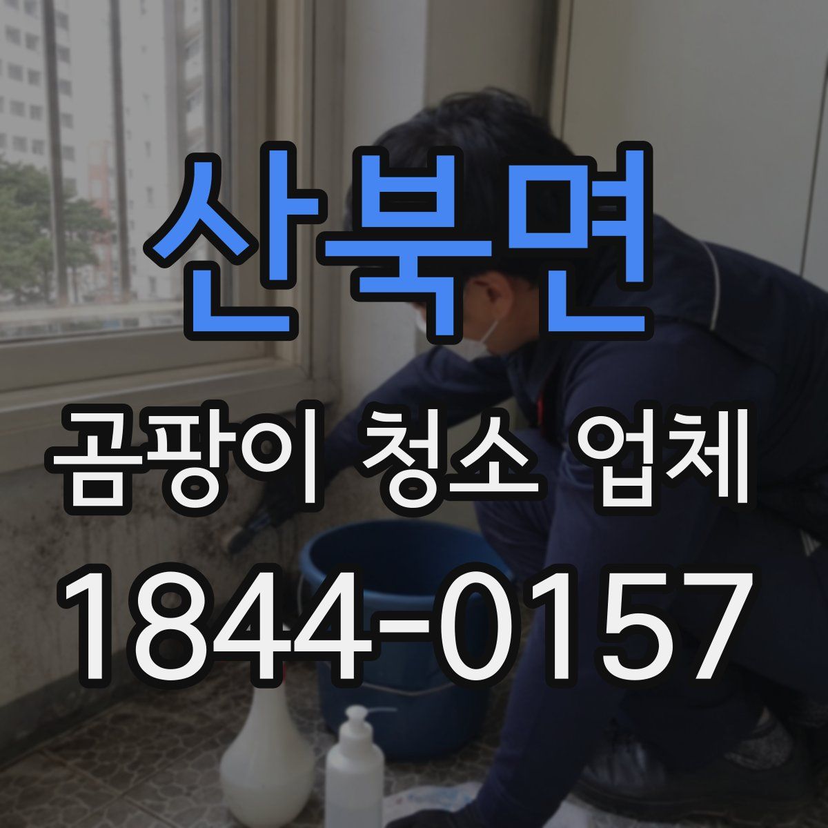 산북면 곰팡이 청소 업체