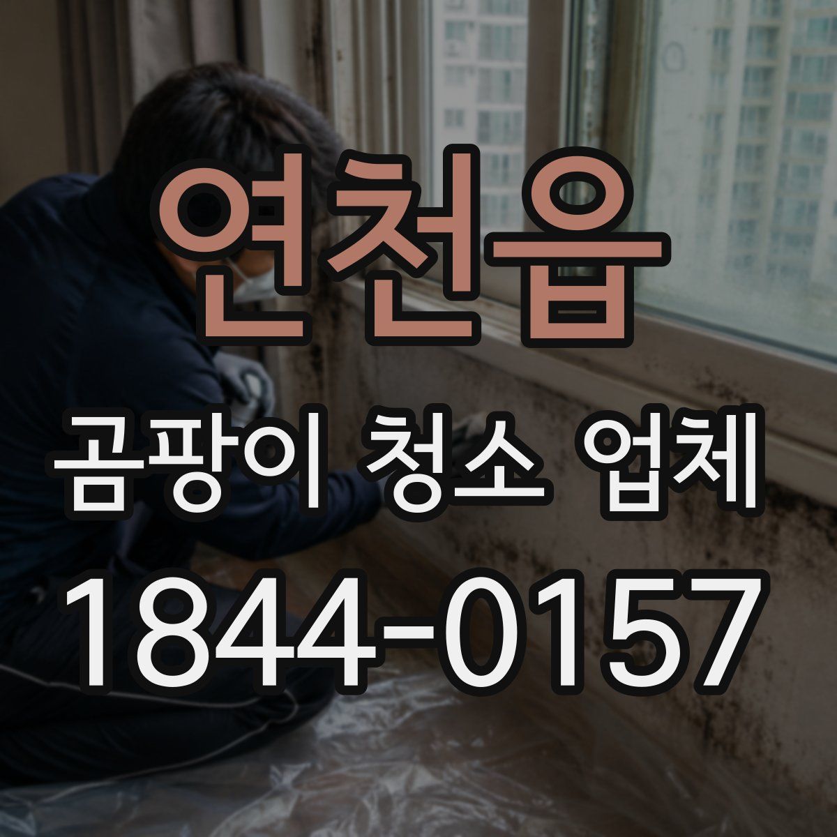 연천읍 곰팡이 청소 업체