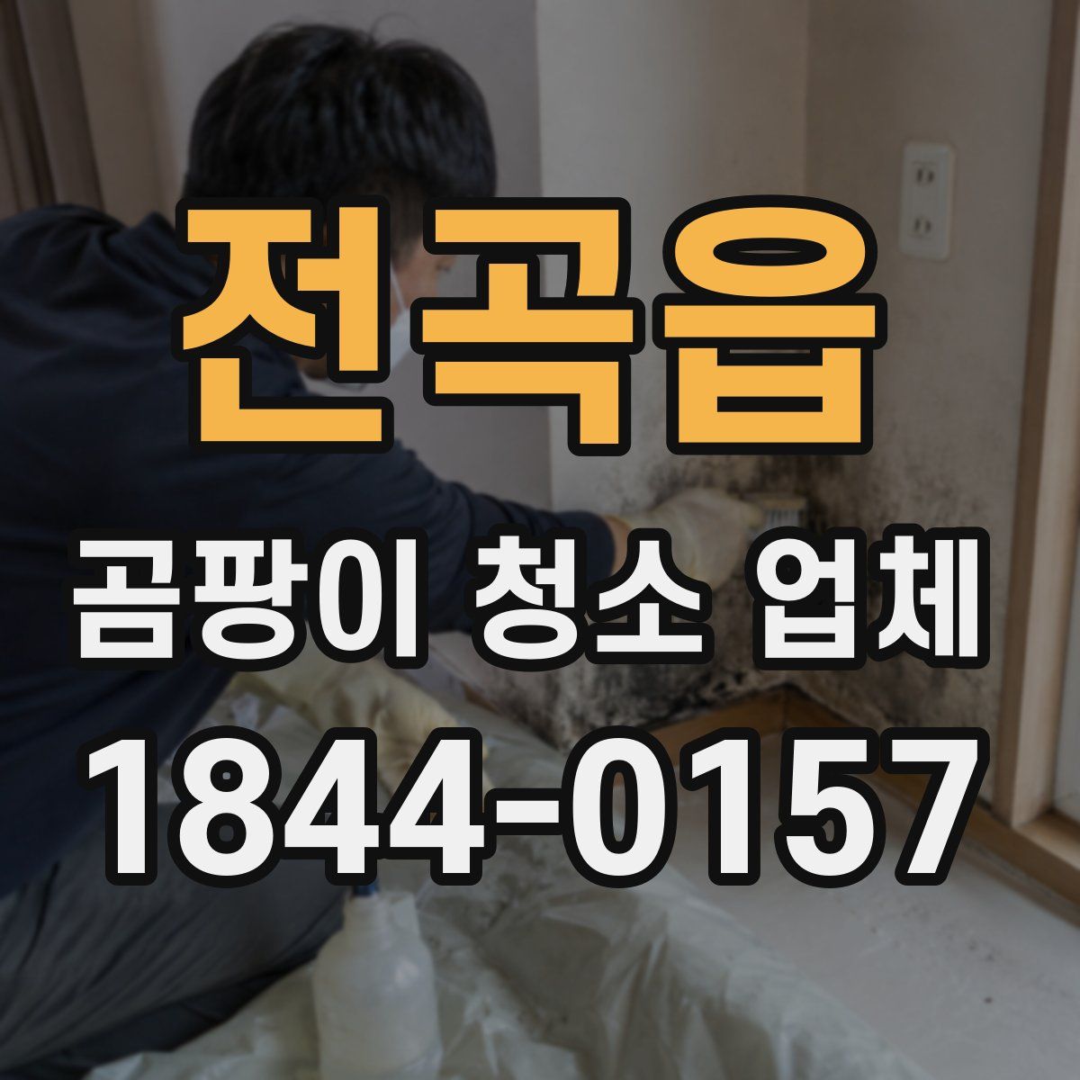 전곡읍 곰팡이 청소 업체