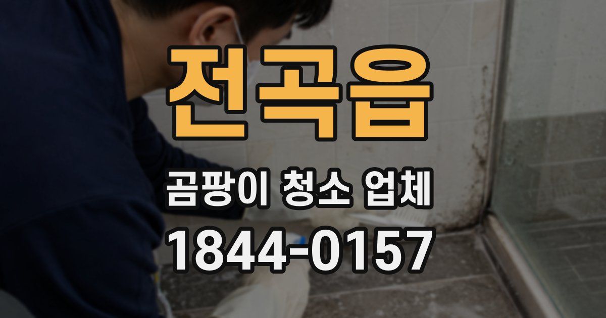 전곡읍 곰팡이 청소 업체