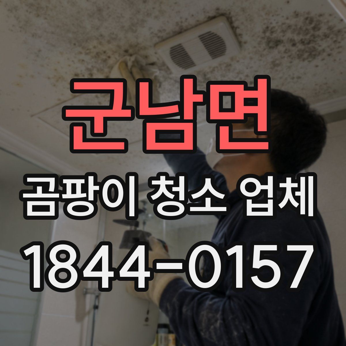 군남면 곰팡이 청소 업체