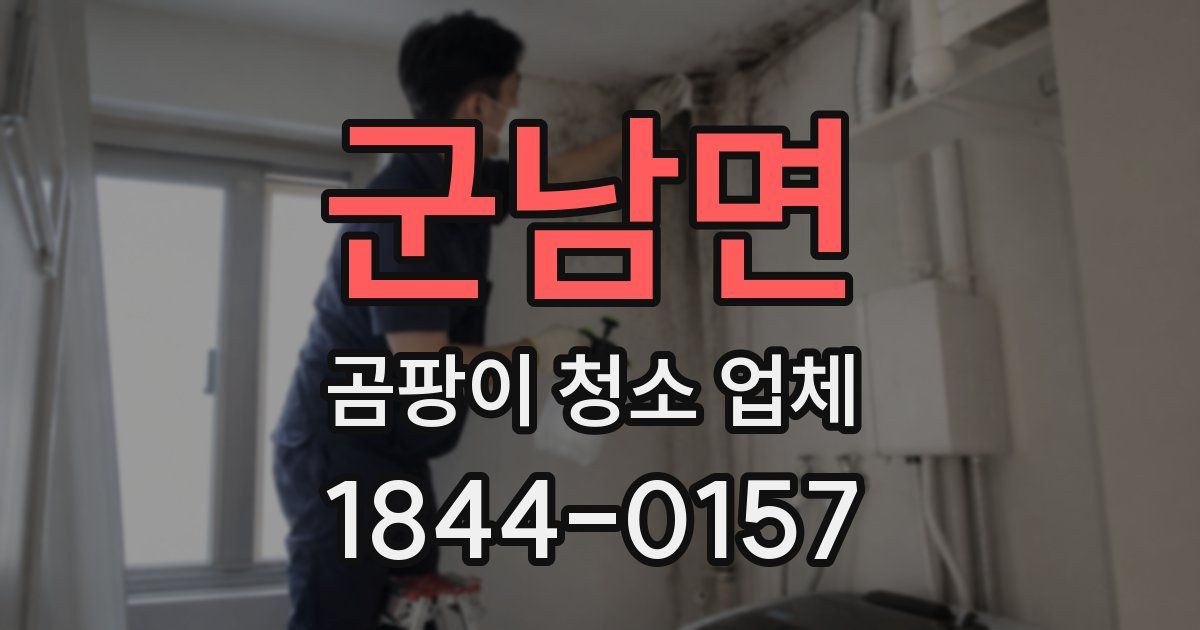 군남면 곰팡이 청소 업체