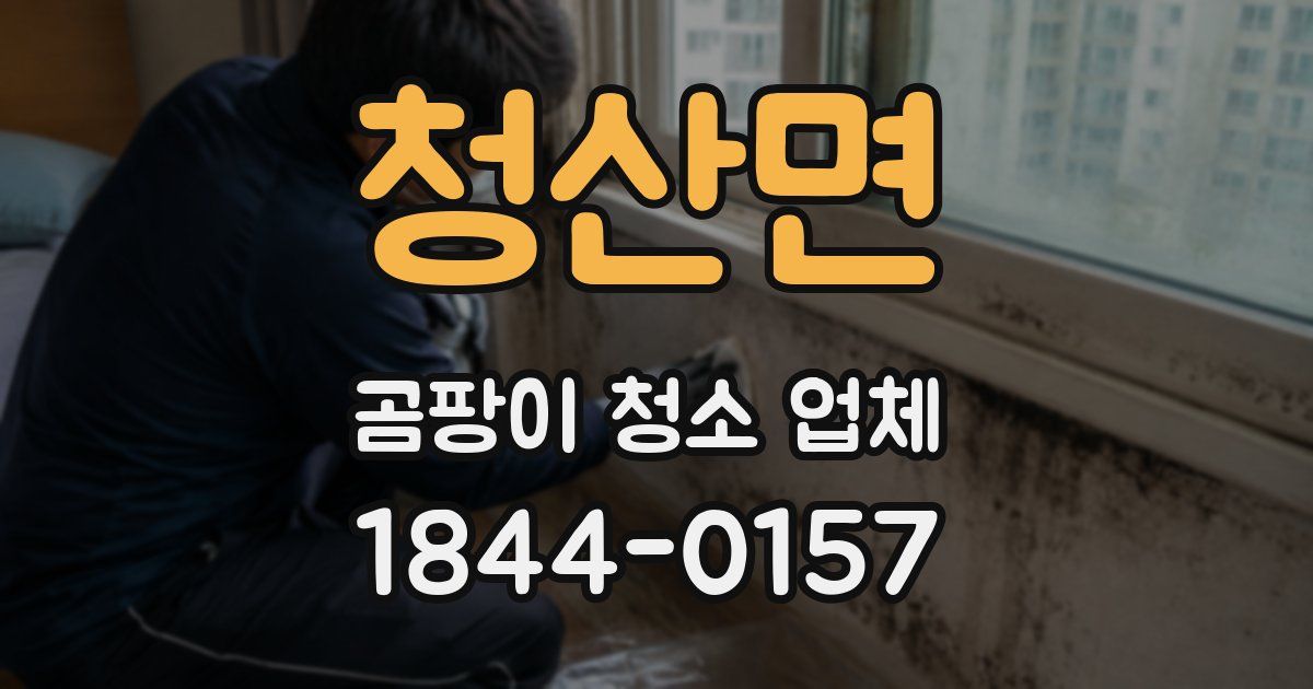 청산면 곰팡이 청소 업체