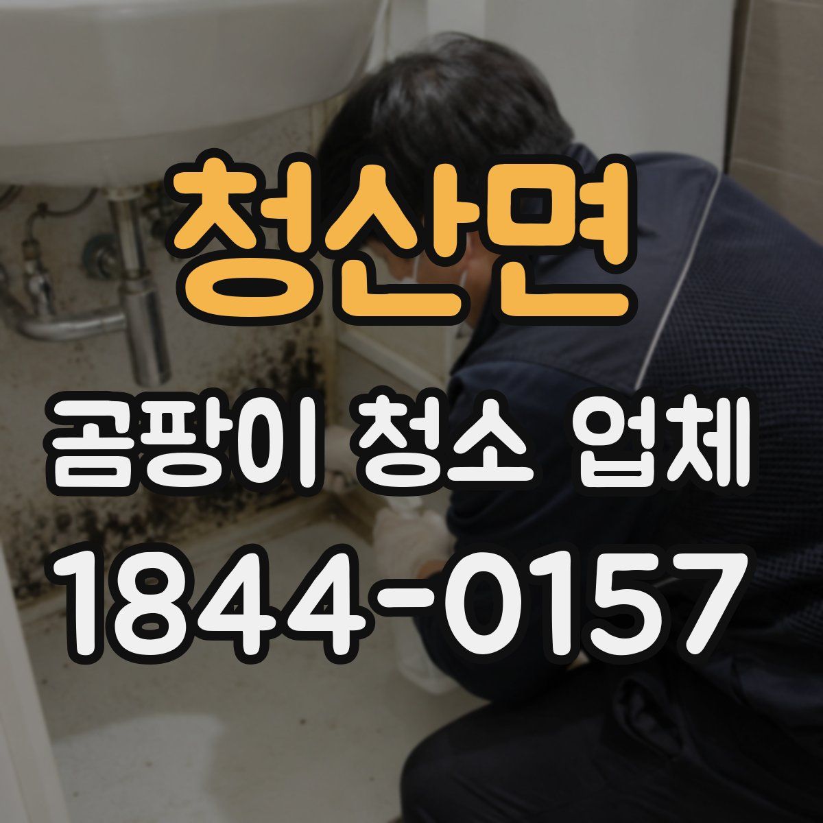 청산면 곰팡이 청소 업체