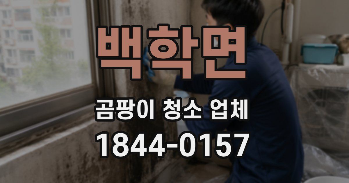 백학면 곰팡이 청소 업체