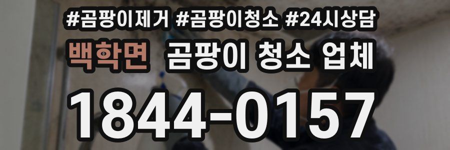 백학면 곰팡이 청소 업체