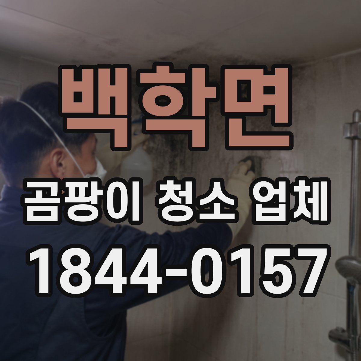 백학면 곰팡이 청소 업체
