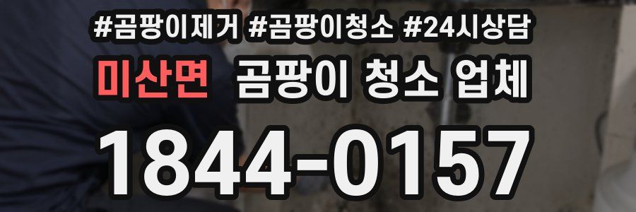 미산면 곰팡이 청소 업체