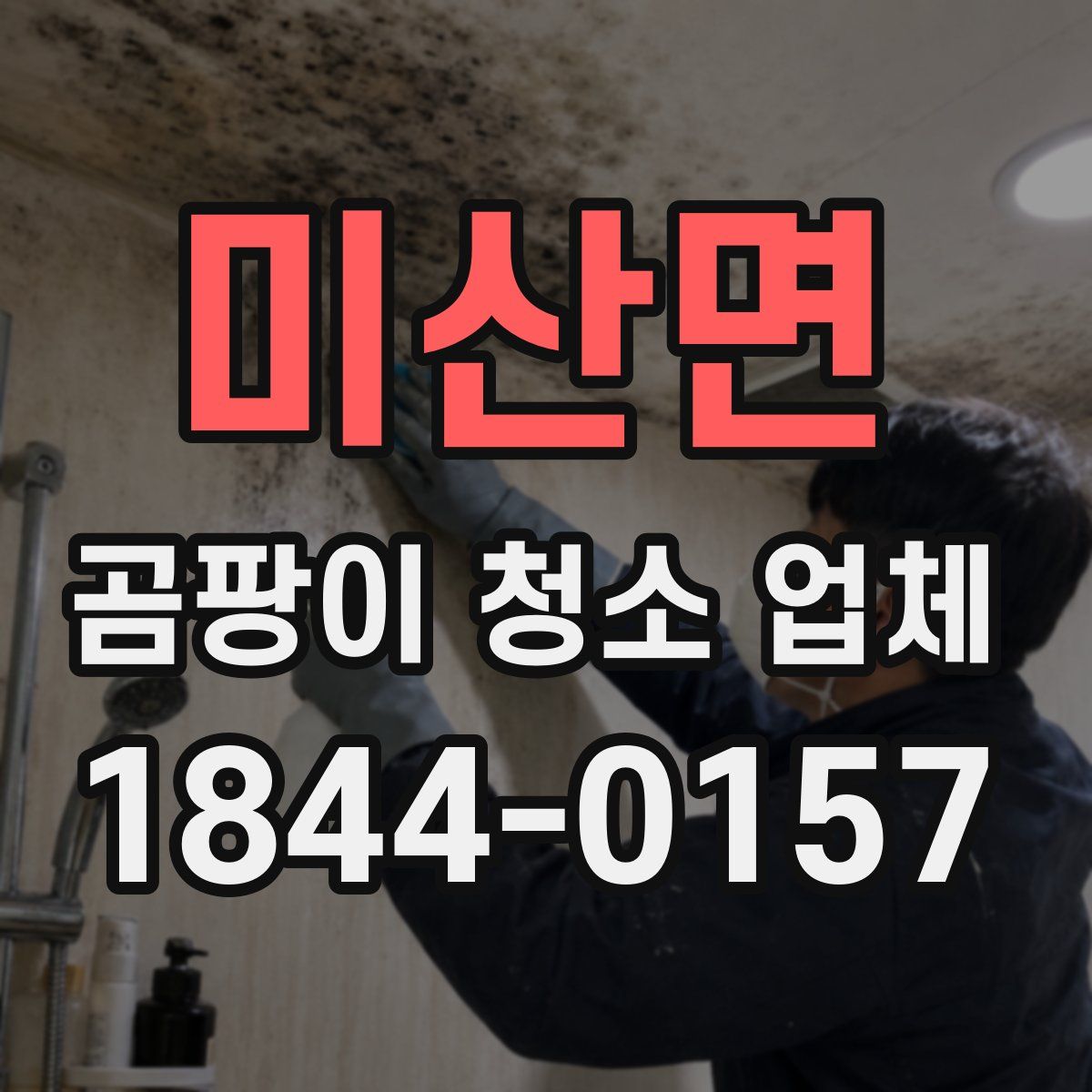 미산면 곰팡이 청소 업체