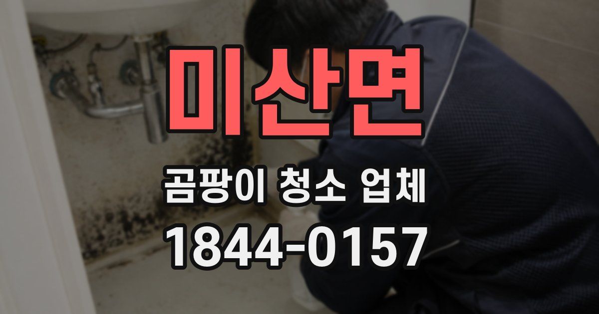 미산면 곰팡이 청소 업체
