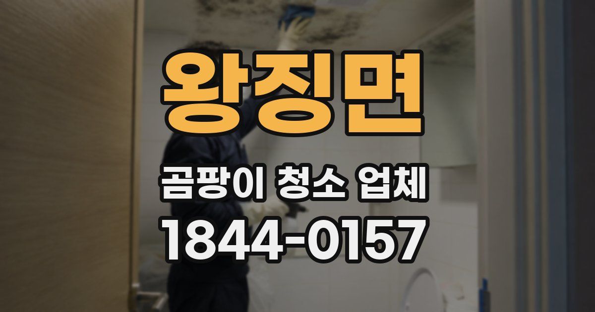 왕징면 곰팡이 청소 업체