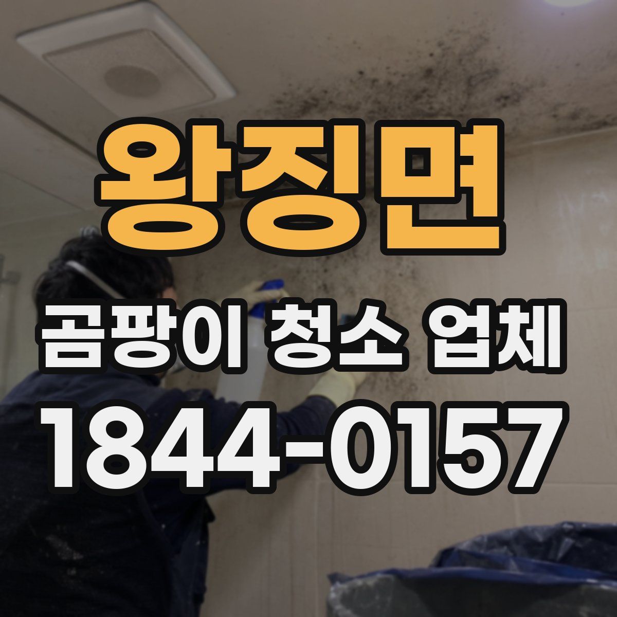 왕징면 곰팡이 청소 업체