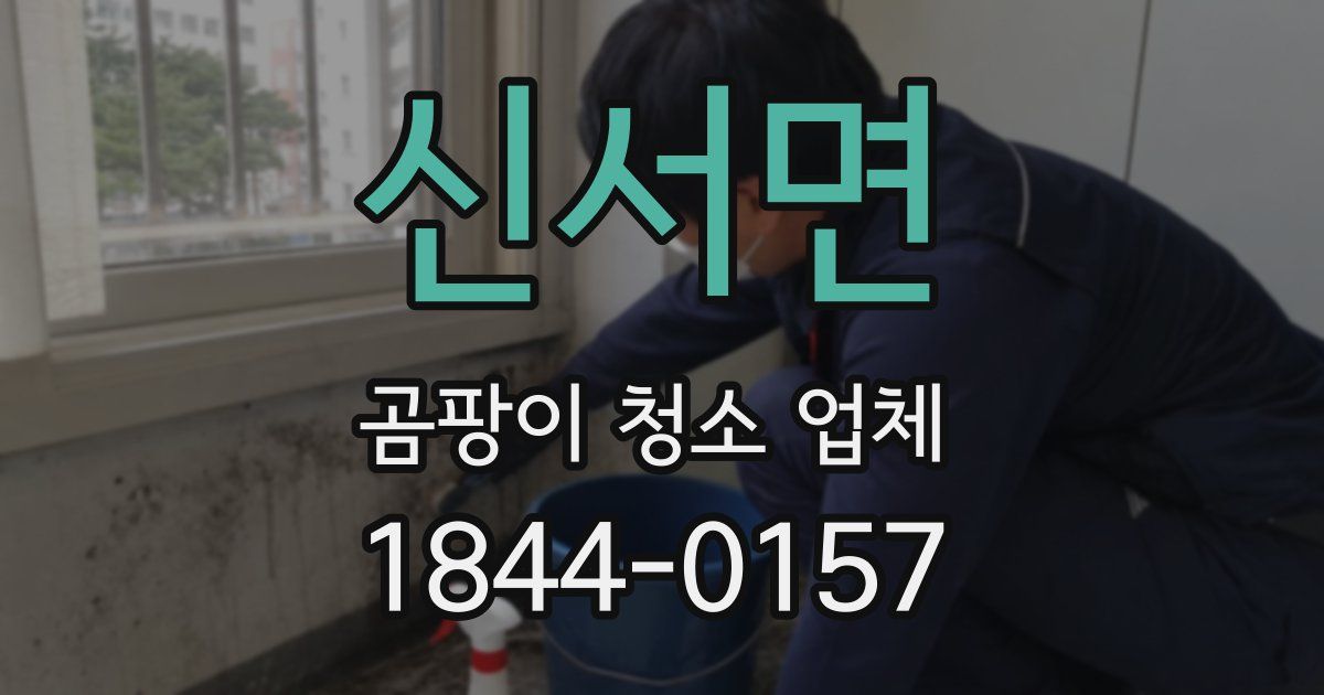 신서면 곰팡이 청소 업체