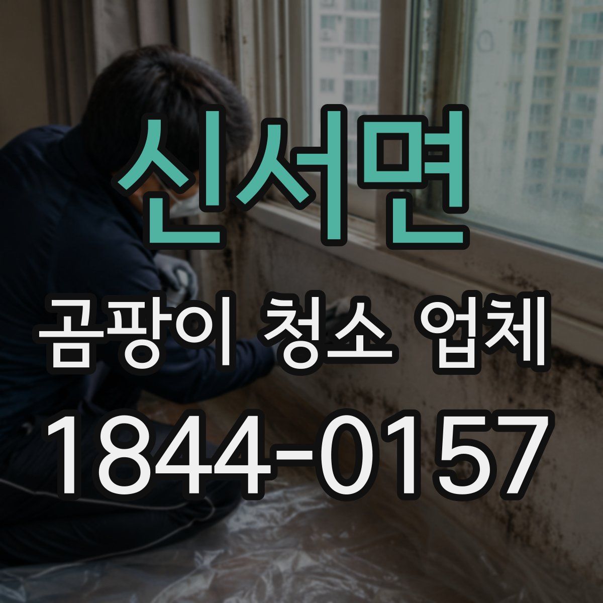신서면 곰팡이 청소 업체