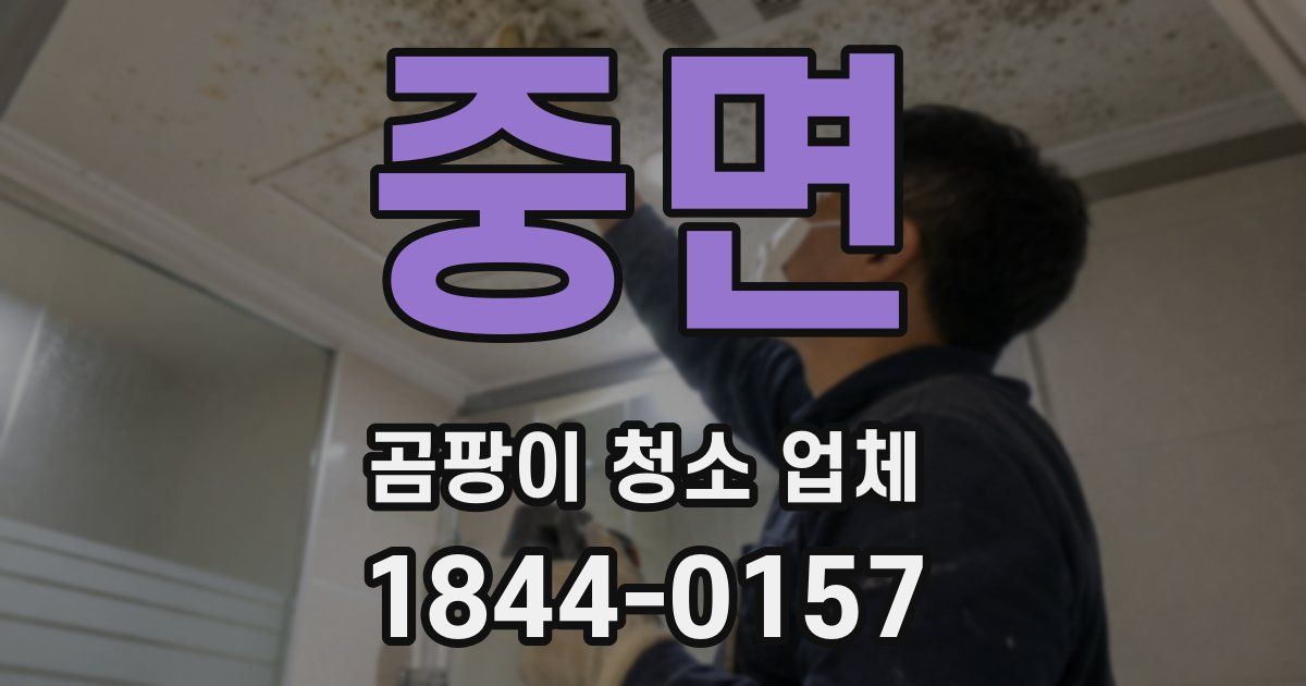 중면 곰팡이 청소 업체