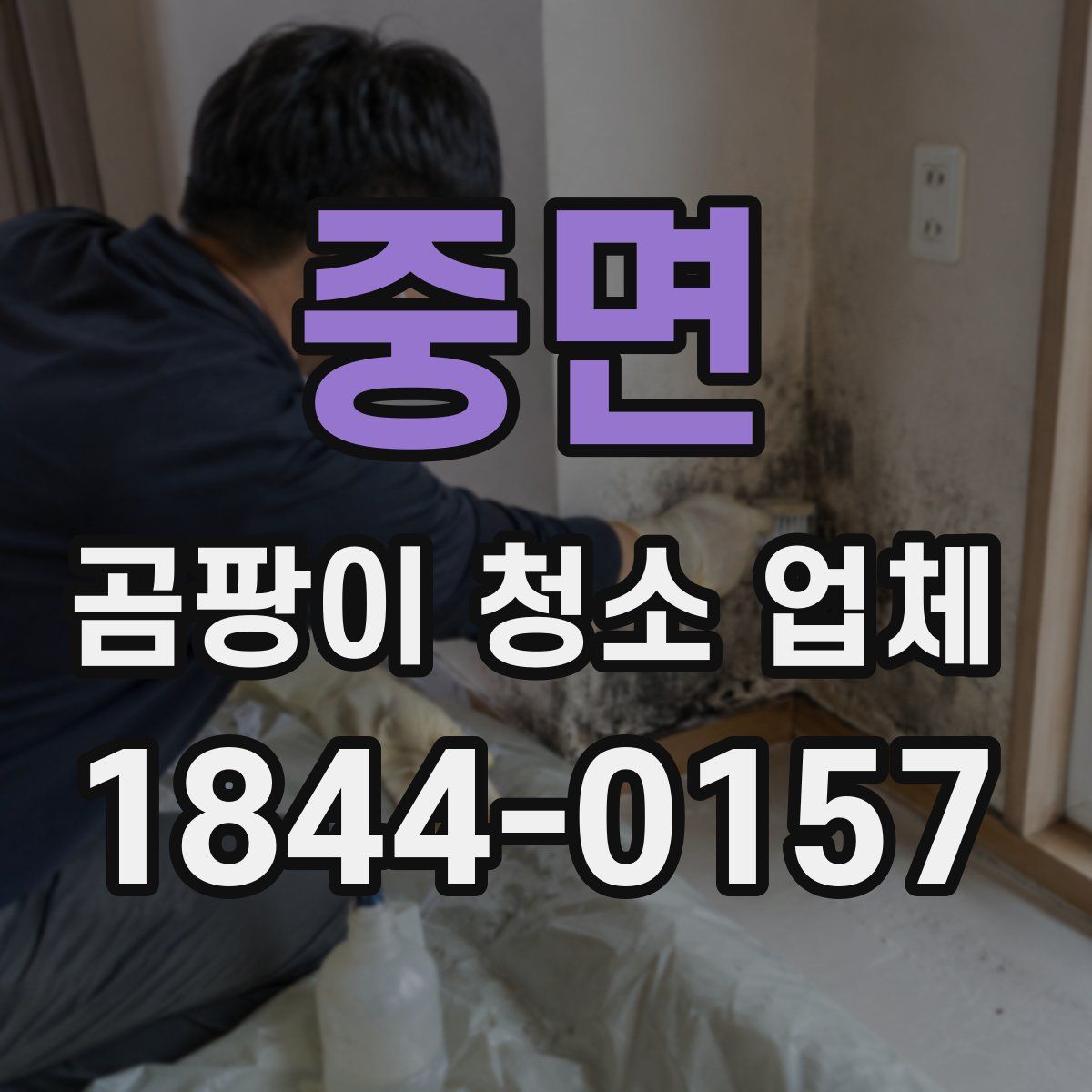 중면 곰팡이 청소 업체