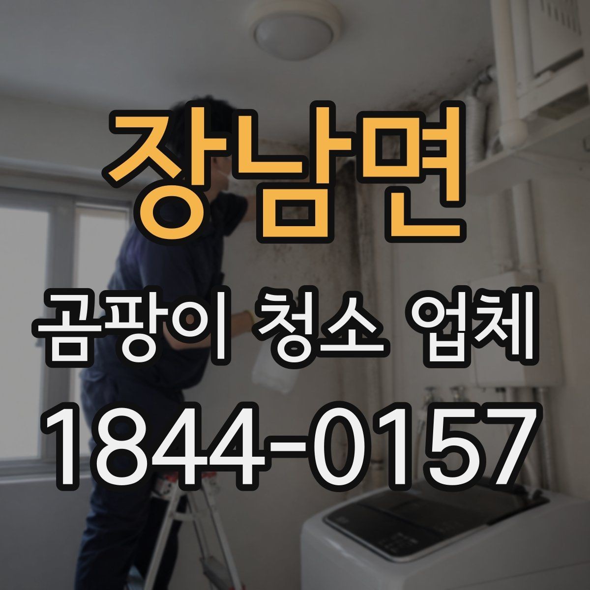 장남면 곰팡이 청소 업체 반려동물 알레르기가 걱정될 때 확인할 기준
