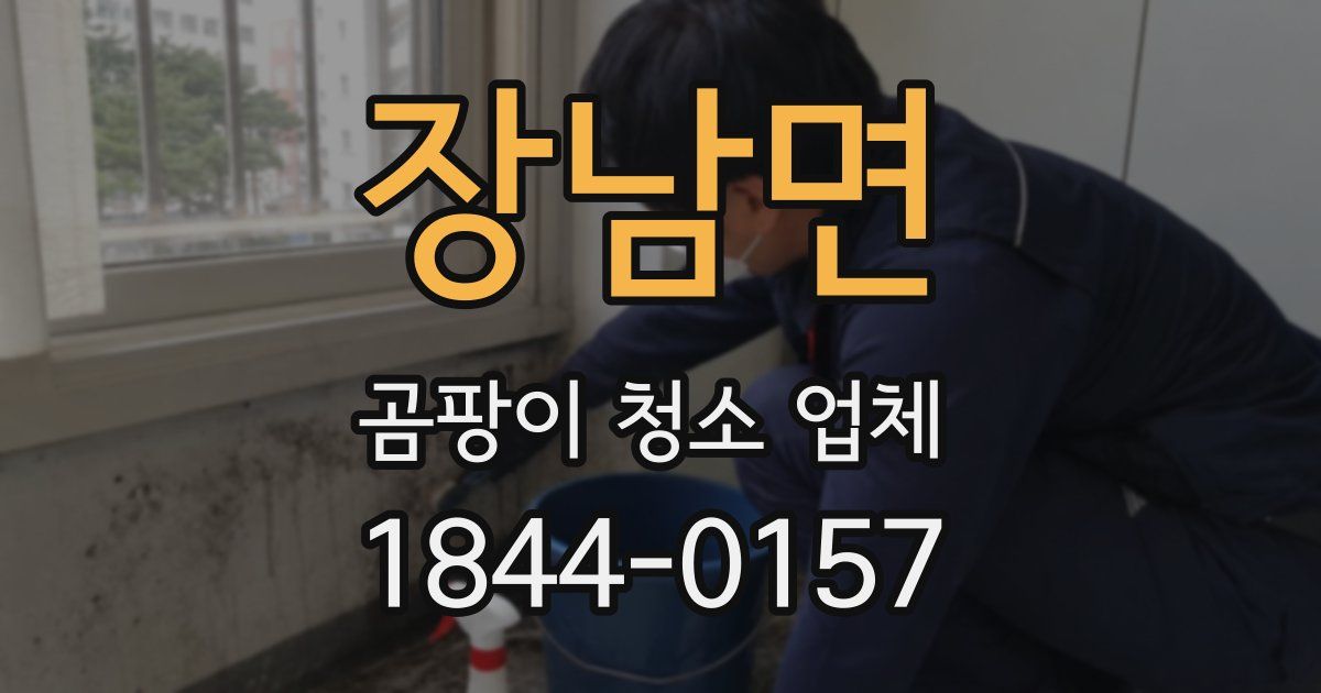 장남면 곰팡이 청소 업체