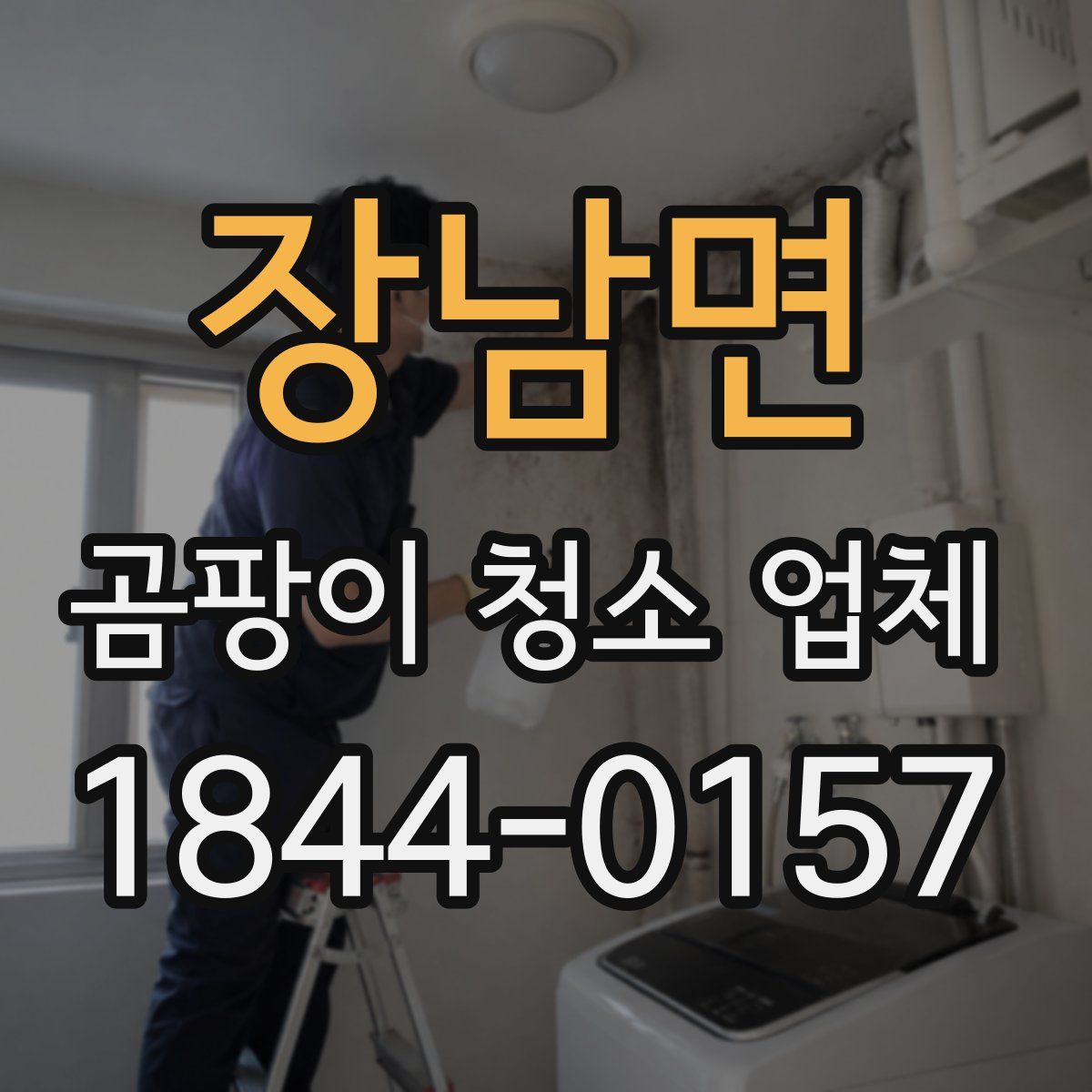 장남면 곰팡이 청소 업체
