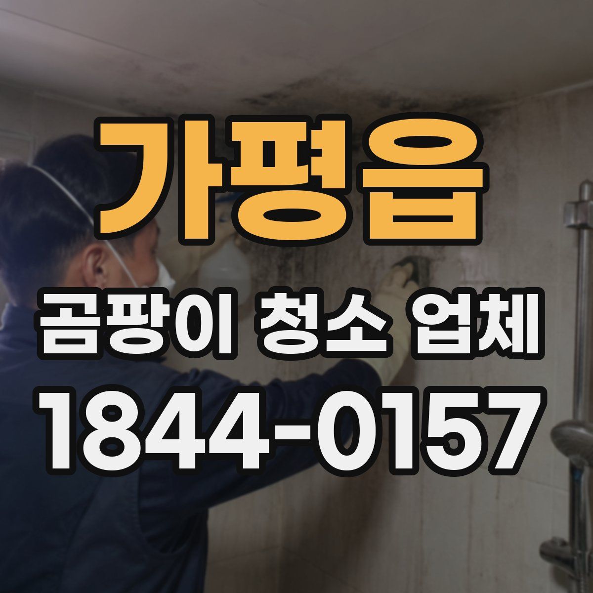 가평읍 곰팡이 청소 업체