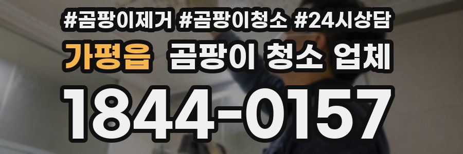 가평읍 곰팡이 청소 업체