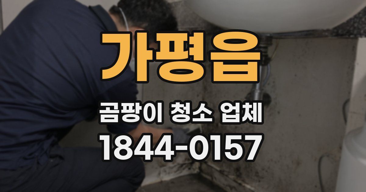 가평읍 곰팡이 청소 업체