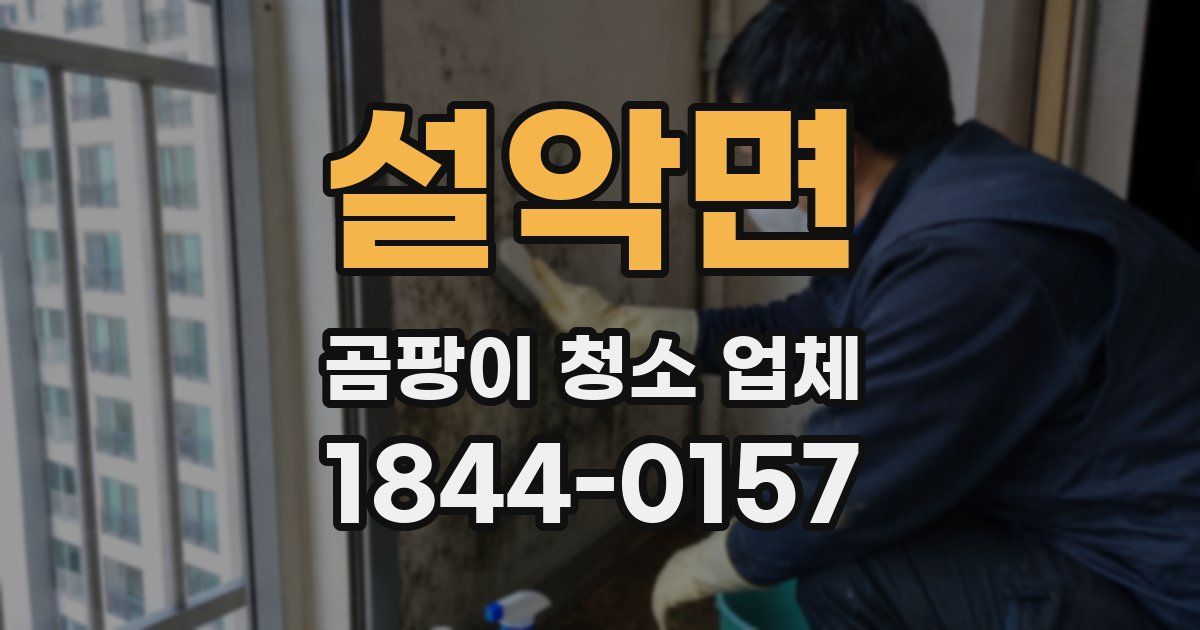설악면 곰팡이 청소 업체