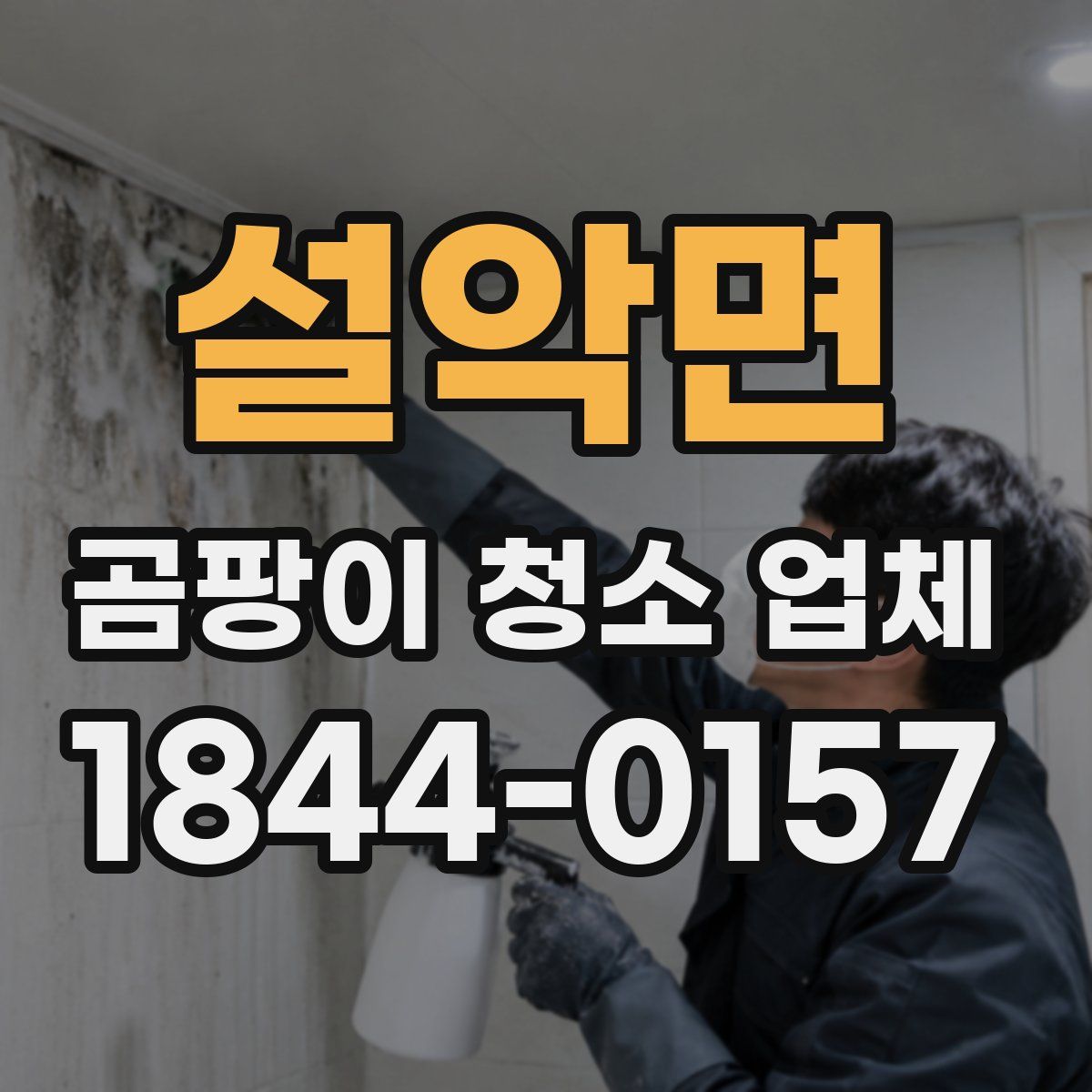 설악면 곰팡이 청소 업체