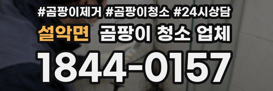 설악면 곰팡이 청소 업체