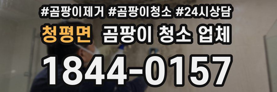 청평면 곰팡이 청소 업체
