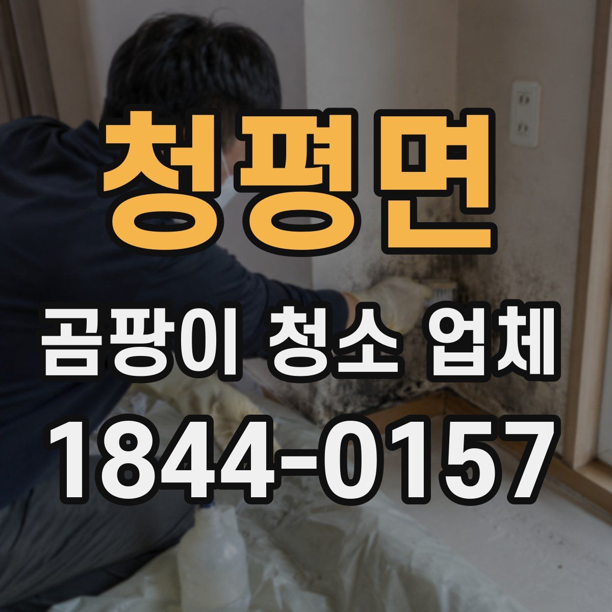 청평면 곰팡이 청소 업체