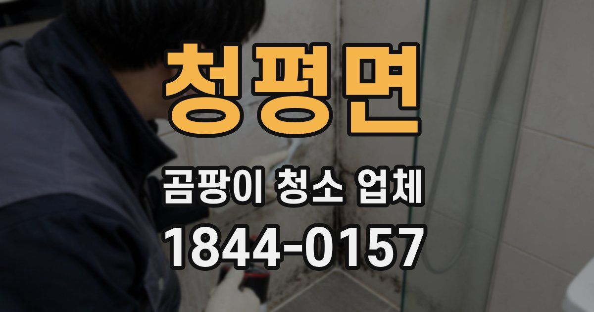 청평면 곰팡이 청소 업체