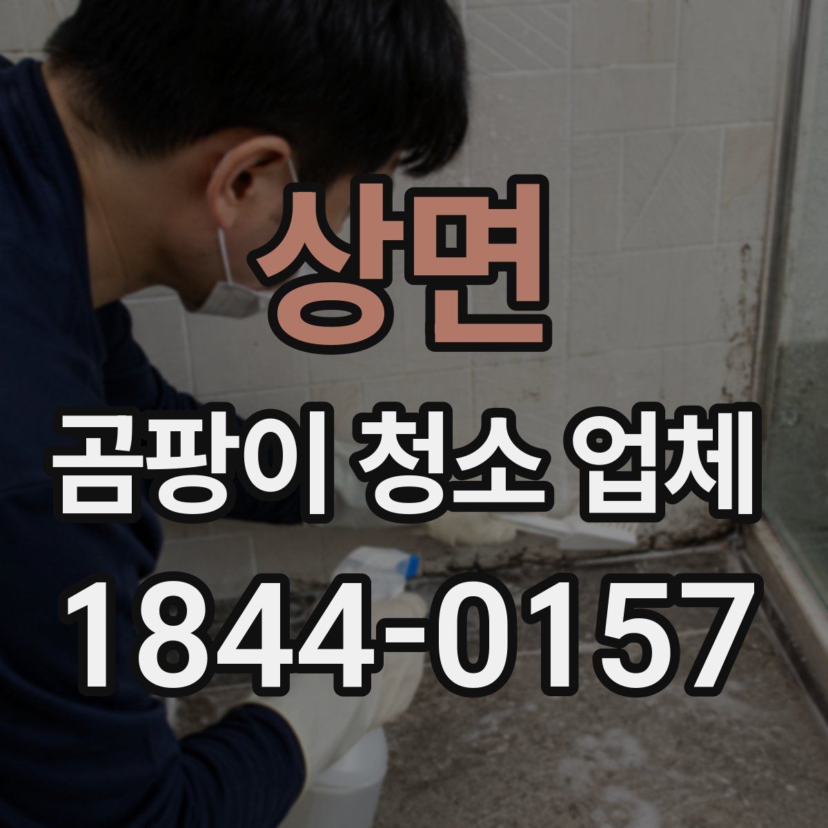 상면 곰팡이 청소 업체