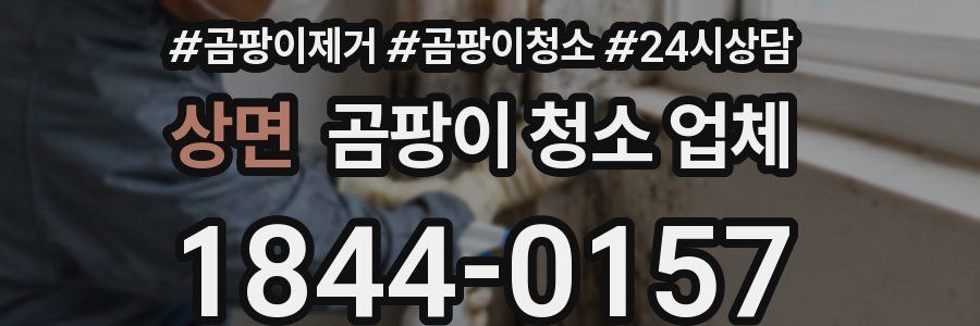 상면 곰팡이 청소 업체